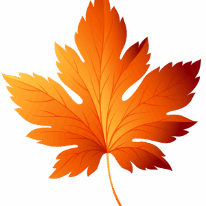 cute-fall-leaves-clipart-a-leaf-with-orange-leaves-on-it