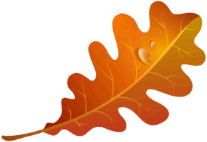 cute-fall-leaves-clipart-a-leaf-with-small-hole-in-the-middle