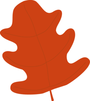 cute-fall-leaves-clipart-a-red-leaf