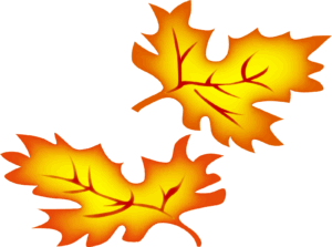 cute-fall-leaves-clipart-two-yellow-leaves-on-a-black-background