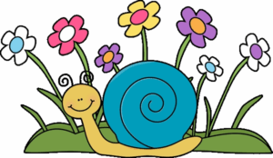 cute-spring-clipart-free-a-snail-with-flowers