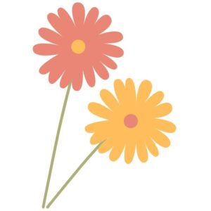 daisy-flower-clipart-a-flower-with-two-petals
