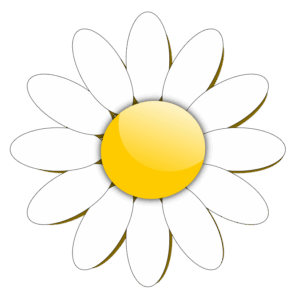 daisy-flower-clipart-a-white-daisy-flower-with-yellow-center