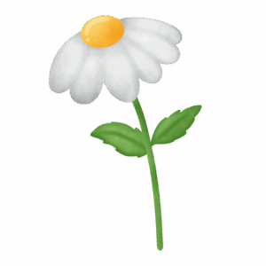 daisy-flower-clipart-a-white-flower-with-green-leaves-on-it