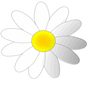 daisy-flower-clipart-a-white-flower-with-yellow-center