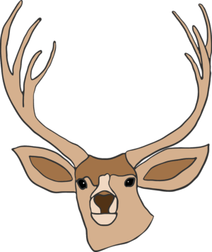 deer-head-clipart-a-deer-head-with-ant