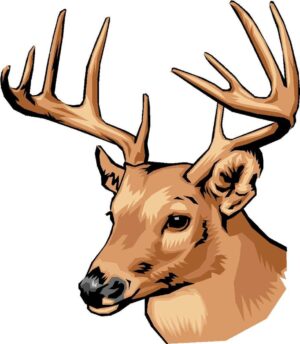 deer-head-clipart-a-deer-head-with-ant-ants