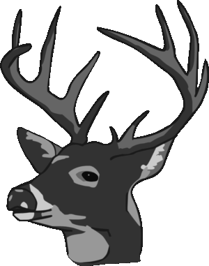 deer-head-clipart-a-deer-head-with-ant-ants