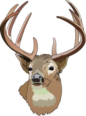 deer-head-clipart-a-deer-head-with-ants-and