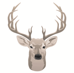 deer-head-clipart-a-deer-head-with-ants-on-it-s