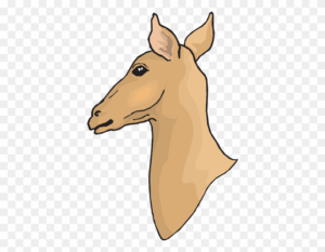 deer-head-clipart-a-horse-head-with-no-background-clipart