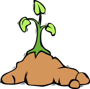 dirt-clipart-a-plant-growing-out-of-rock