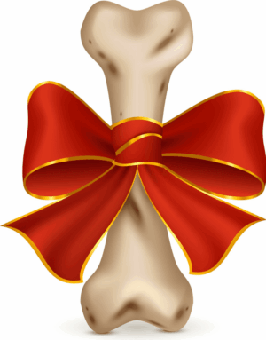 dog-bone-clipart-a-bone-with-red-bow-on-it