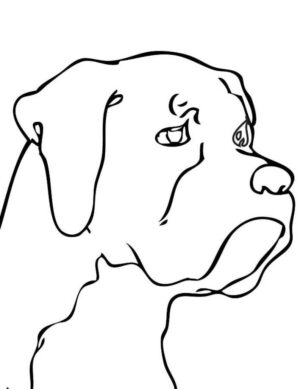 dog-clipart-easy-a-dog-s-face-with-sad-expression