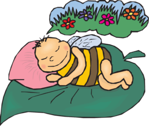 dream-clipart-a-baby-sleeping-on-blanket-with-flowers