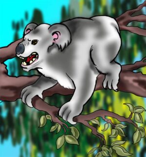 drop-bear-clipart-a-cartoon-of-koloa-on-tree-branch