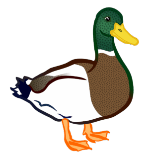 ducks-clipart-a-duck-with-yellow-beak-and-brown-head