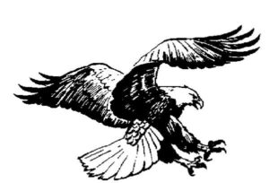 eagle-clipart-black-and-white-a-black-and-white-drawing-of-an-eagle