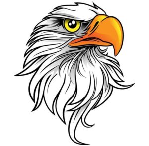 eagle-clipart-black-and-white-an-eagle-head-with-a-yellow-eyes