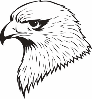 eagle-clipart-black-and-white-eagle-head-logo-template