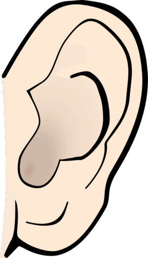 ears-clipart-a-pair-of-ears