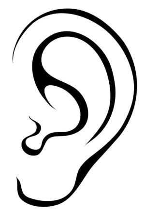 ears-clipart-ear-clipart