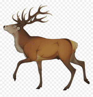 elk-clipart-a-deer-with-ant