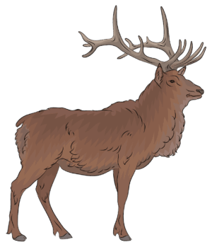 elk-clipart-a-deer-with-ants-on-its-head
