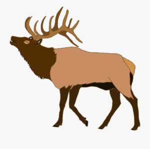 elk-clipart-a-moose-with-ant-ants-and