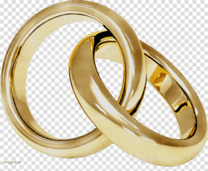 engagement-ring-clipart-wedding-rings-png