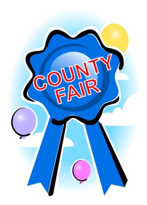 fair-clipart-a-blue-ribbon-with-the-word-party-on-it