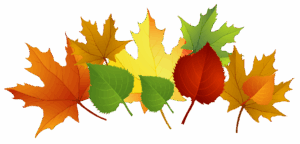 fall-clipart-images-a-bunch-of-colorful-autumn-leaves