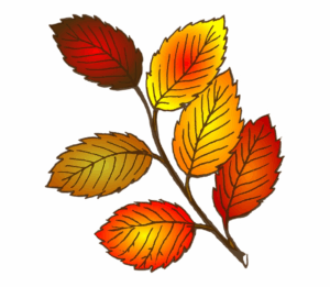 fall-leaves-clipart-black-and-white-a-branch-with-leaves-in-the-fall-colors