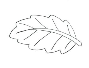 fall-leaves-clipart-black-and-white-a-leaf-with-single-line-drawing