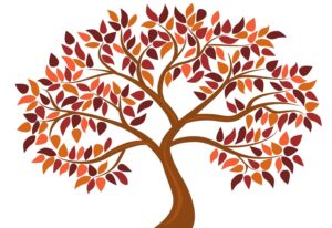 fall-tree-clipart-a-tree-with-leaves-on-it