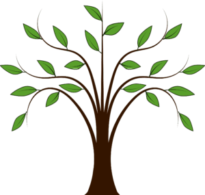 family-tree-clipart-a-tree-with-green-leaves