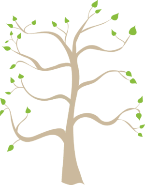 family-tree-clipart-a-tree-with-green-leaves-two