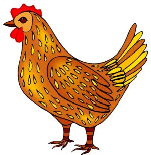 farm-animal-clipart-a-chicken-with-red-comb-on-its-head