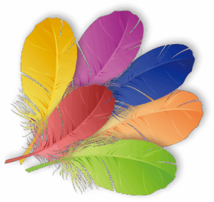feathers-clipart-a-bunch-of-colorful-feathers