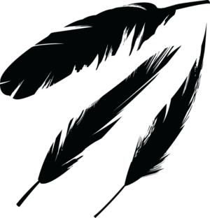 feathers-clipart-feather