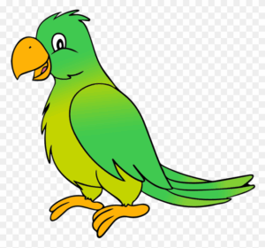 feathers-clipart-parrot-clipart