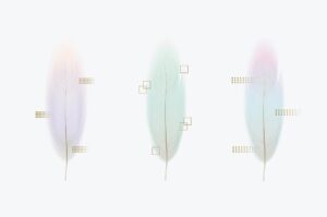 feathers-clipart-three-feathers-with-a-white-background