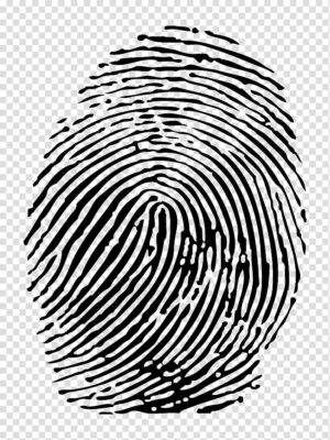 fingerprint-clipart-fingerprint