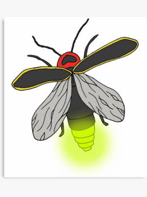 firefly-clipart-a-black-and-yellow-insect-with-red-head-wings