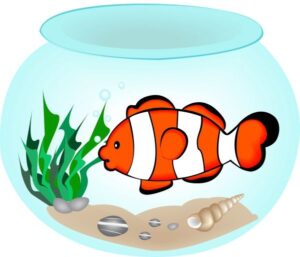 fish-bowl-clipart-a-fish-in-bowl-with-algae-and-rocks