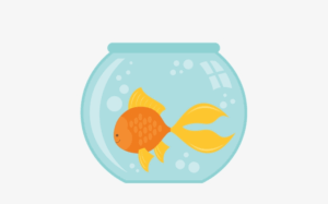 fish-bowl-clipart-a-goldfish-in-fish-bowl