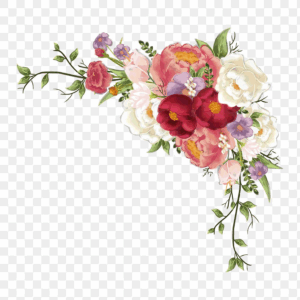 floral-clipart-flower-border-png