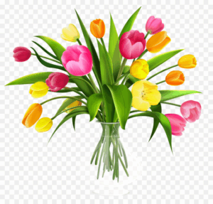 flower-bouquet-clipart-a-bouquet-of-tulips-clipart