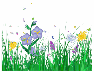 flower-clipart-transparent-background-a-bunch-of-flowers-in-field