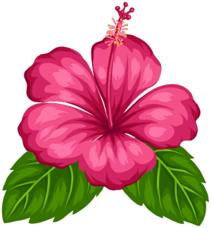 flower-clipart-transparent-background-a-pink-flower-with-green-leaves-two